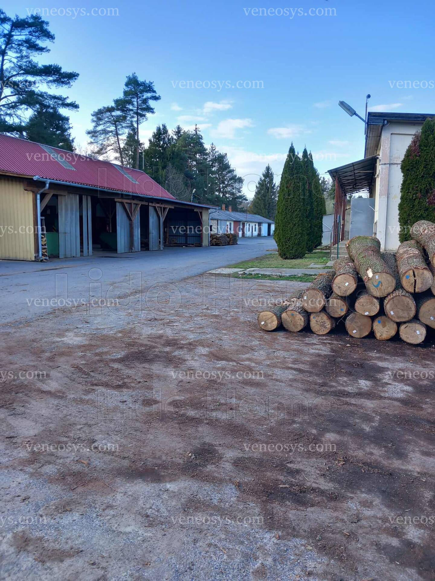 Kép 5