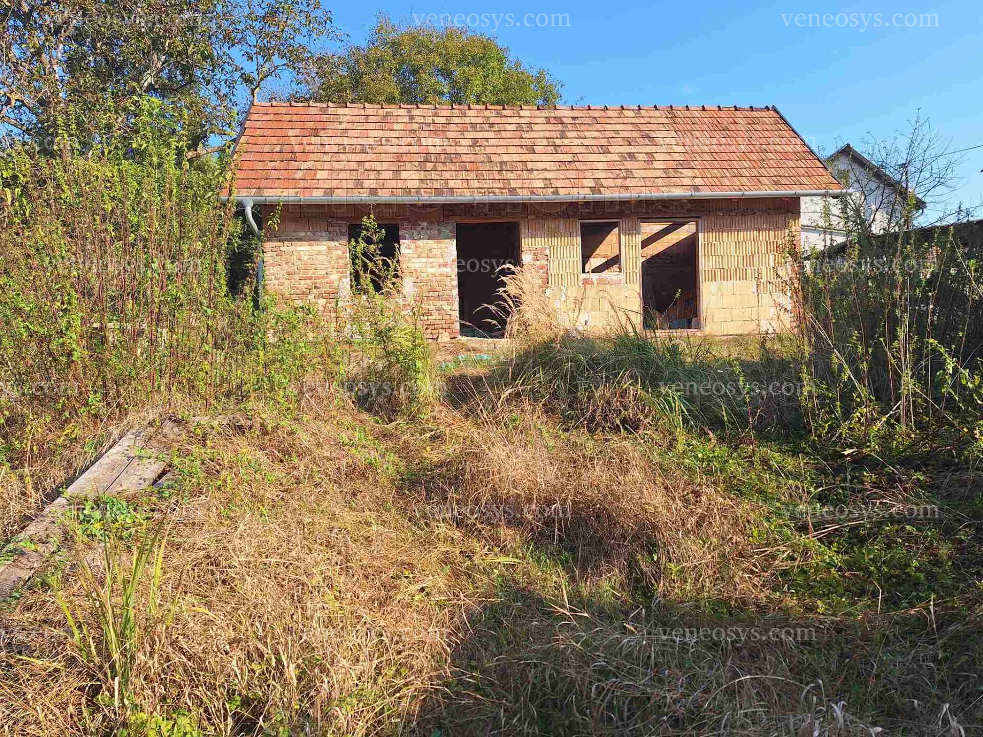 Kép 4