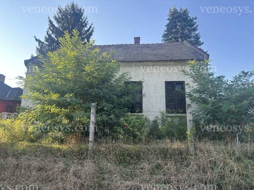 Kép 1