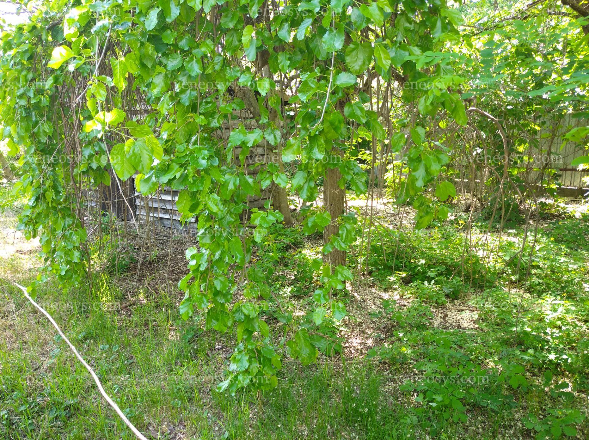 Kép 6