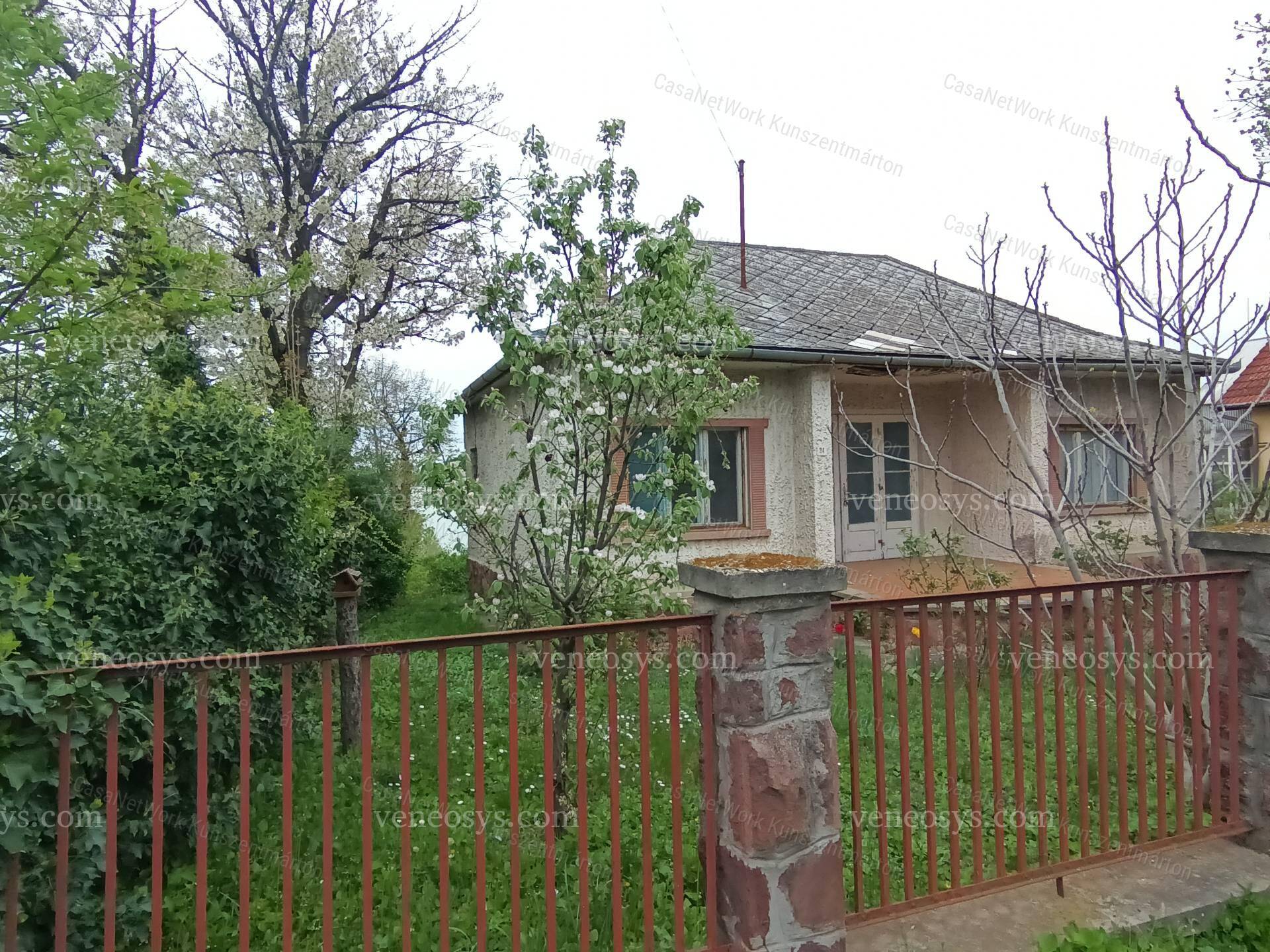 Kép 11