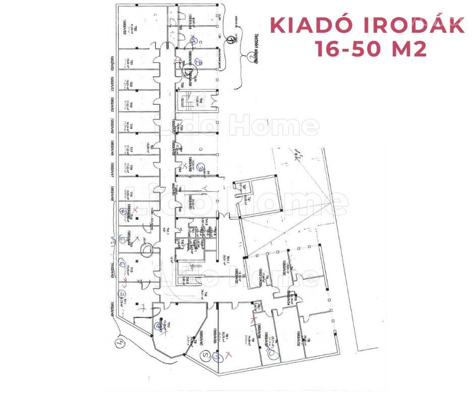 Kép 4