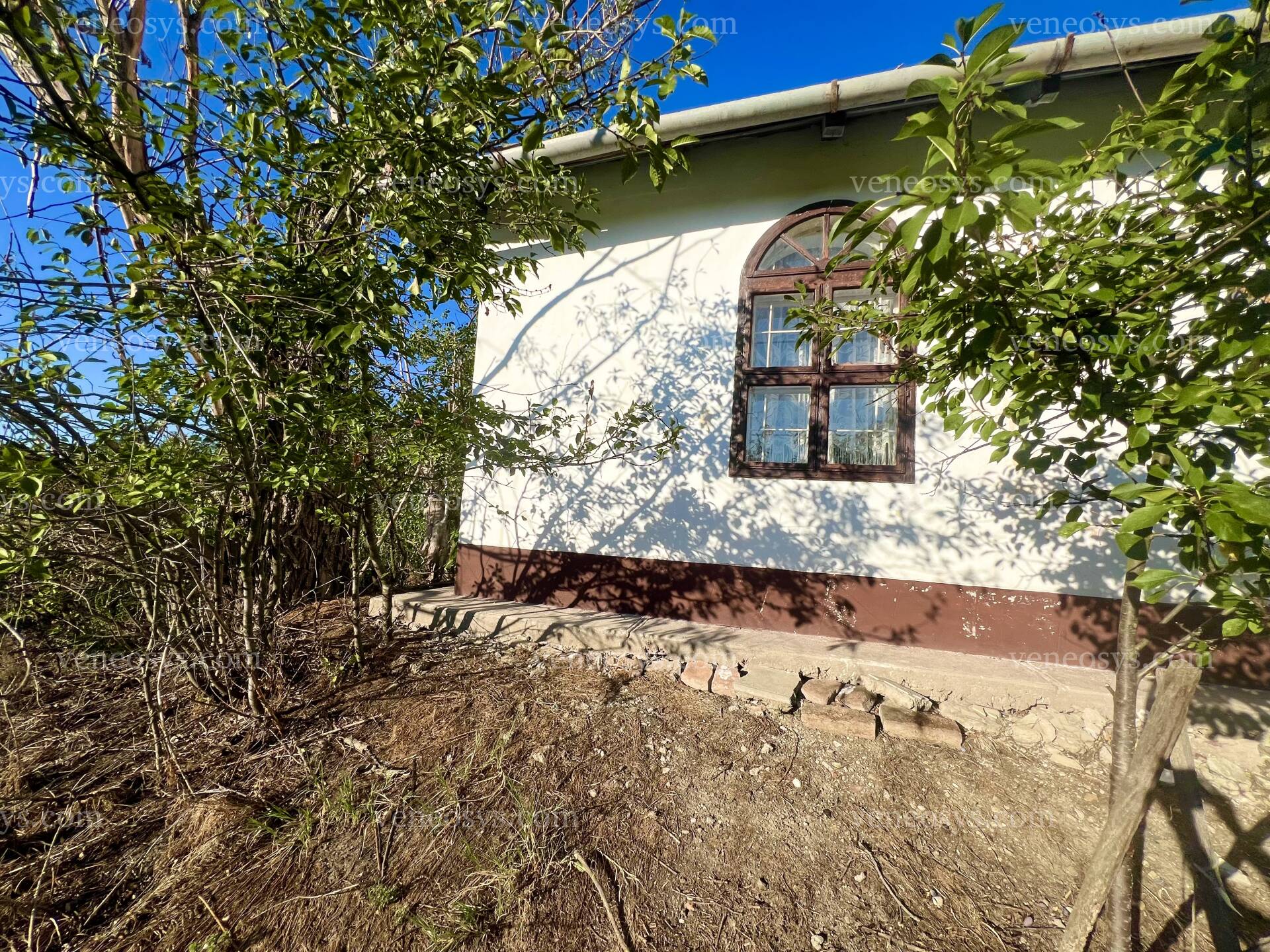 Kép 8