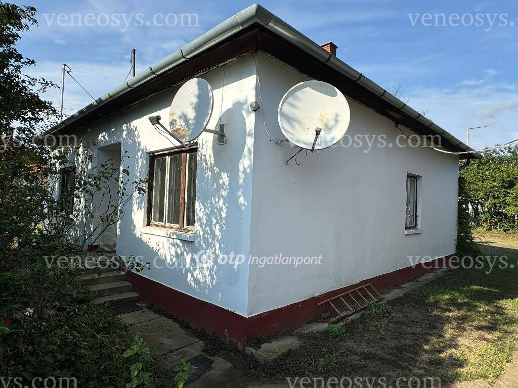 Kép 6
