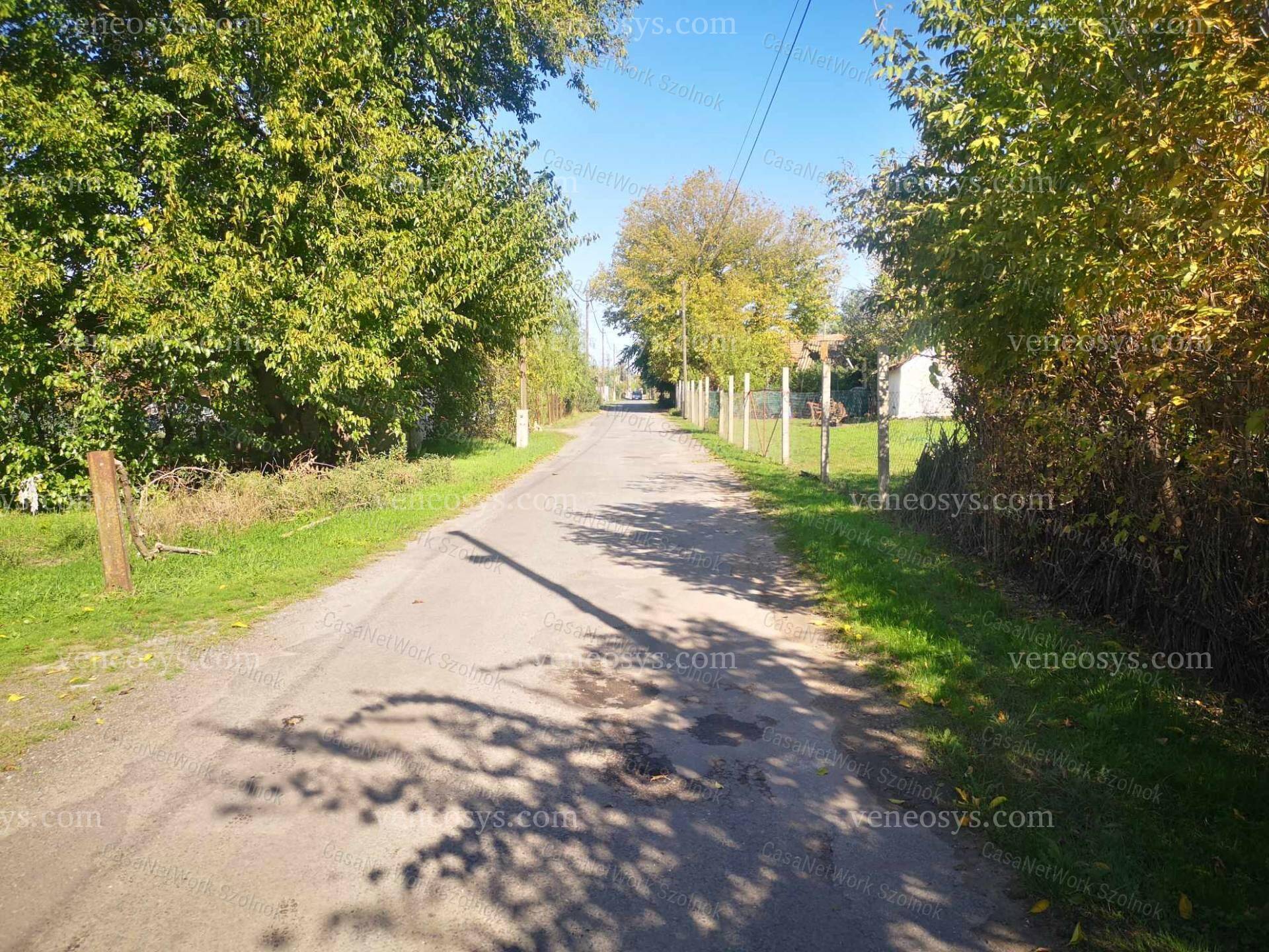Kép 5