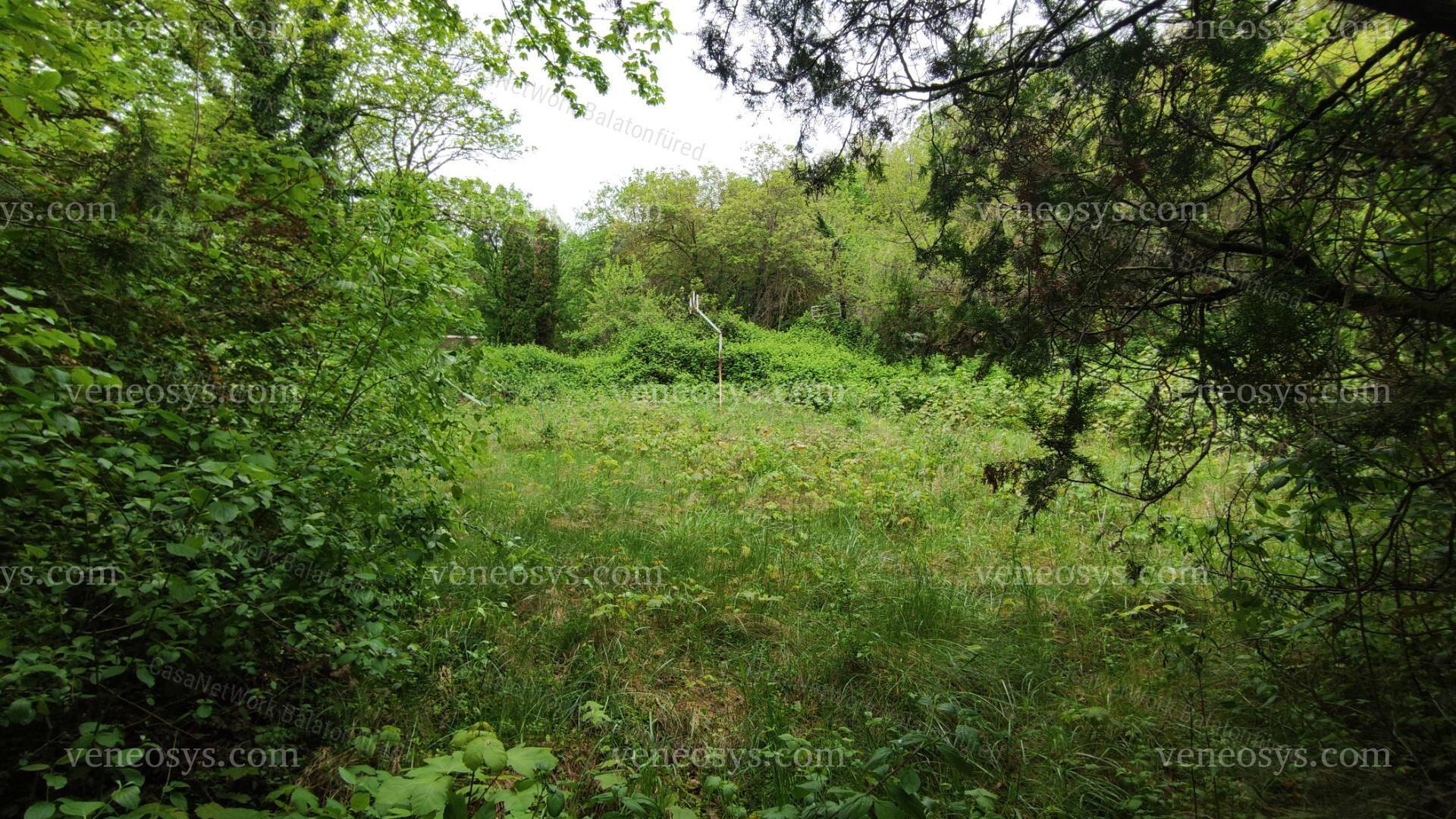 Kép 5