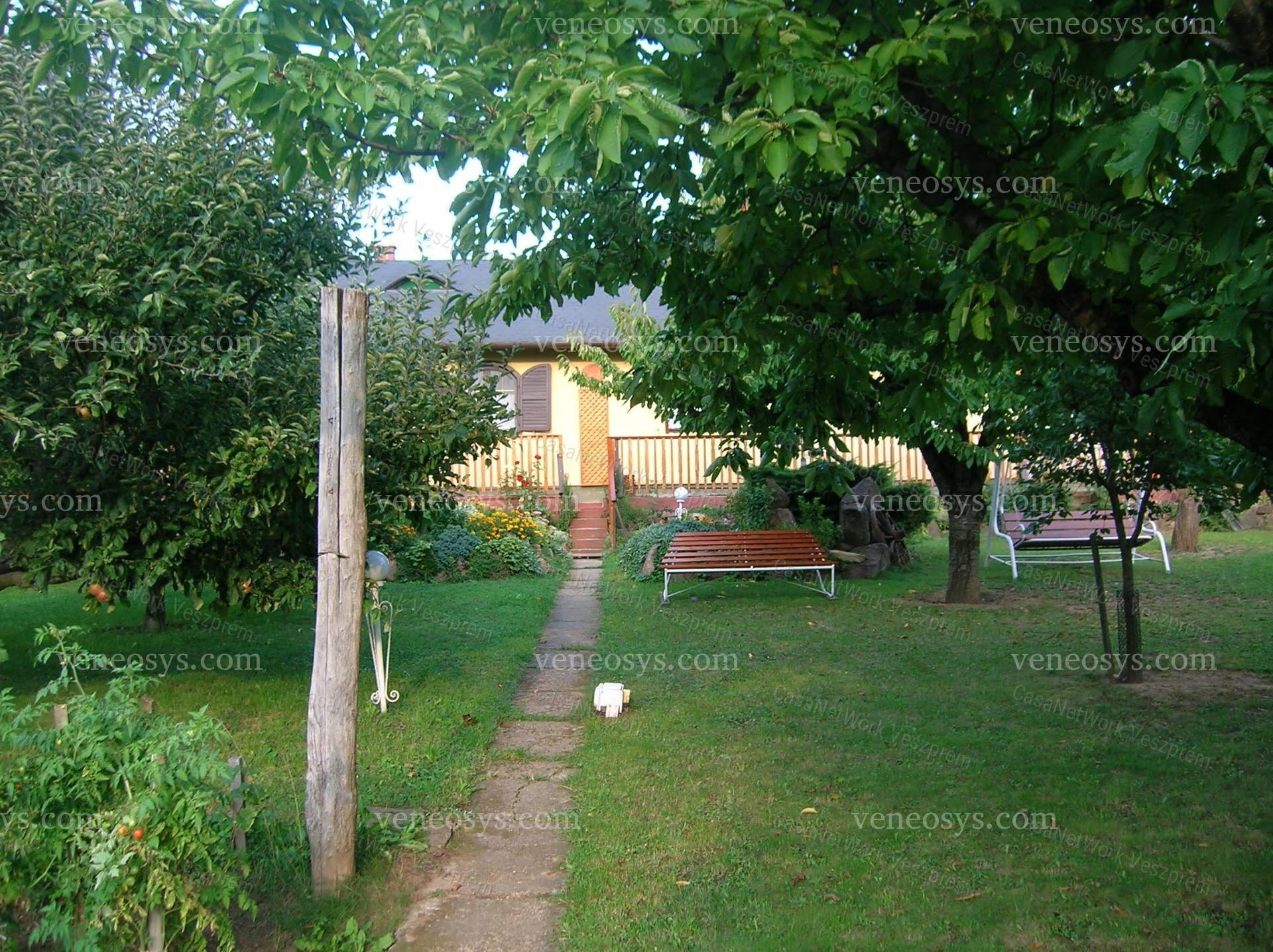 Kép 5
