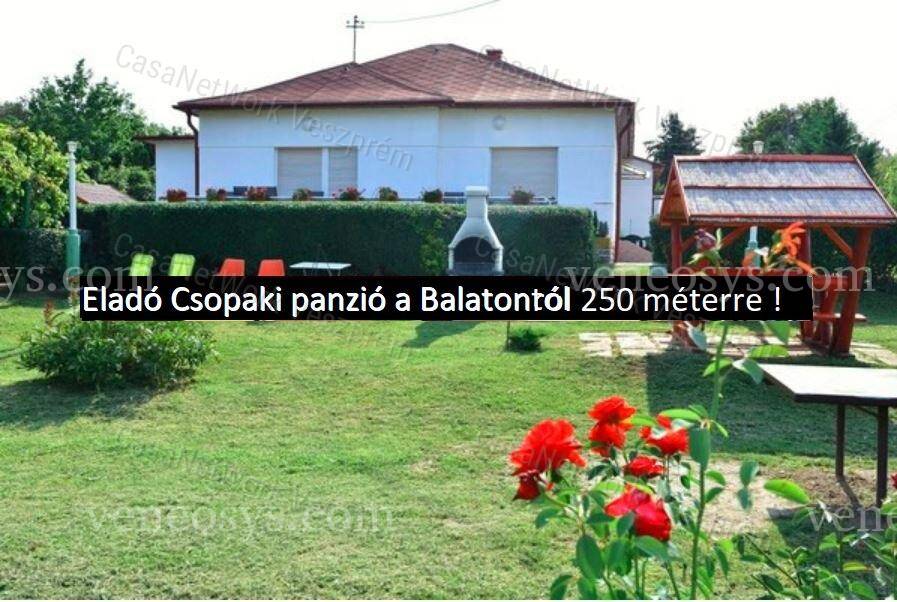 Kép 5
