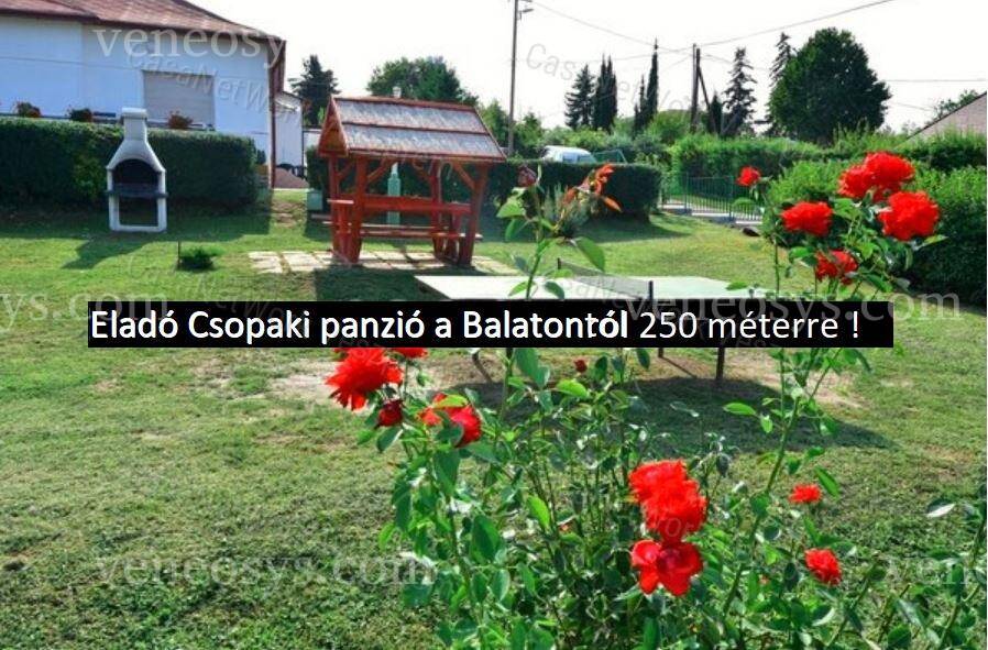 Kép 7