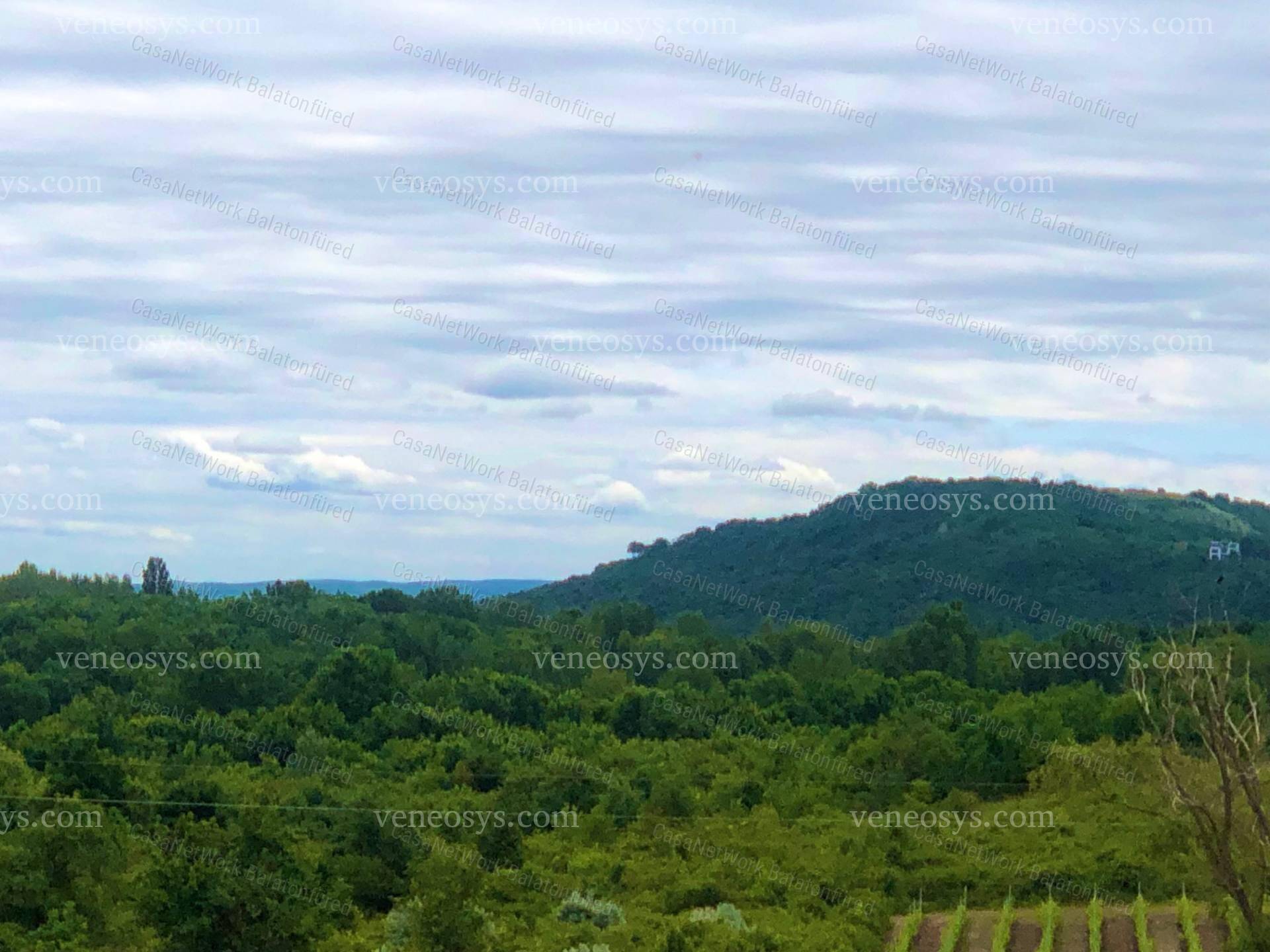 Kép 7