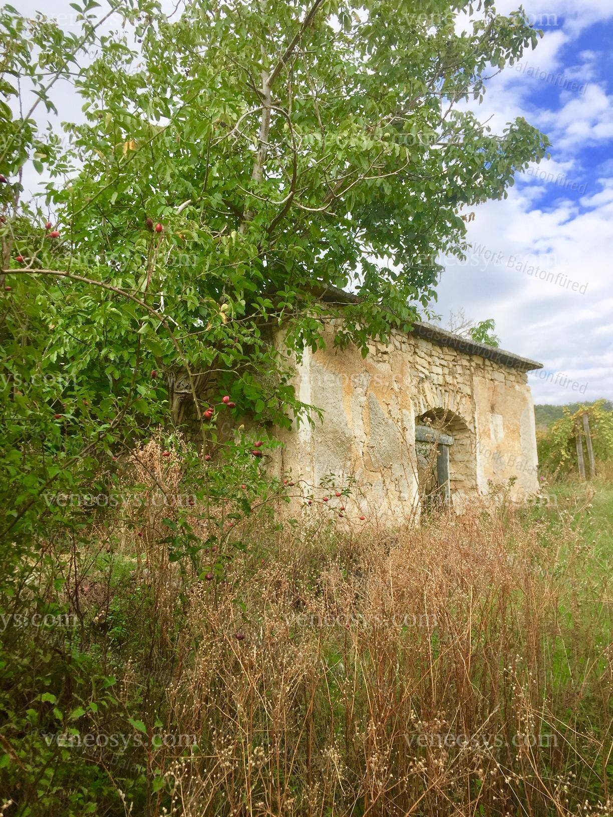 Balatonszőlős