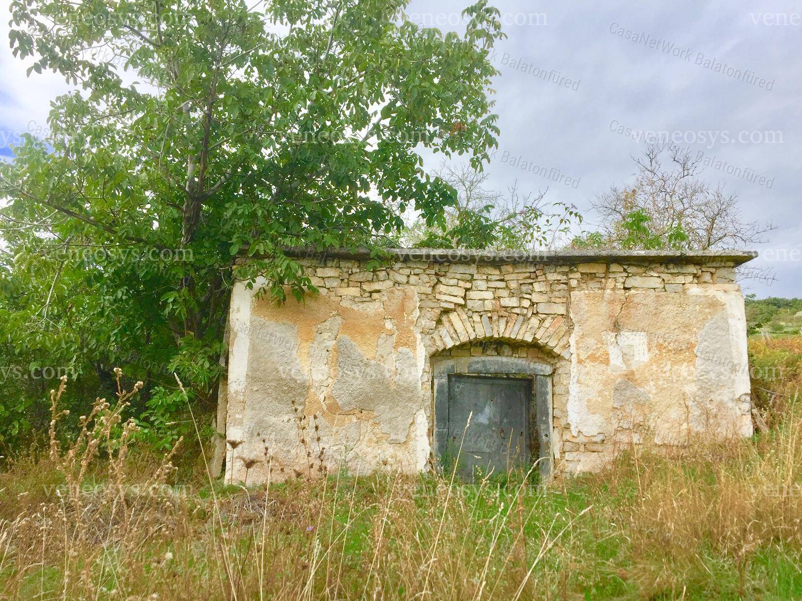 Kép 4