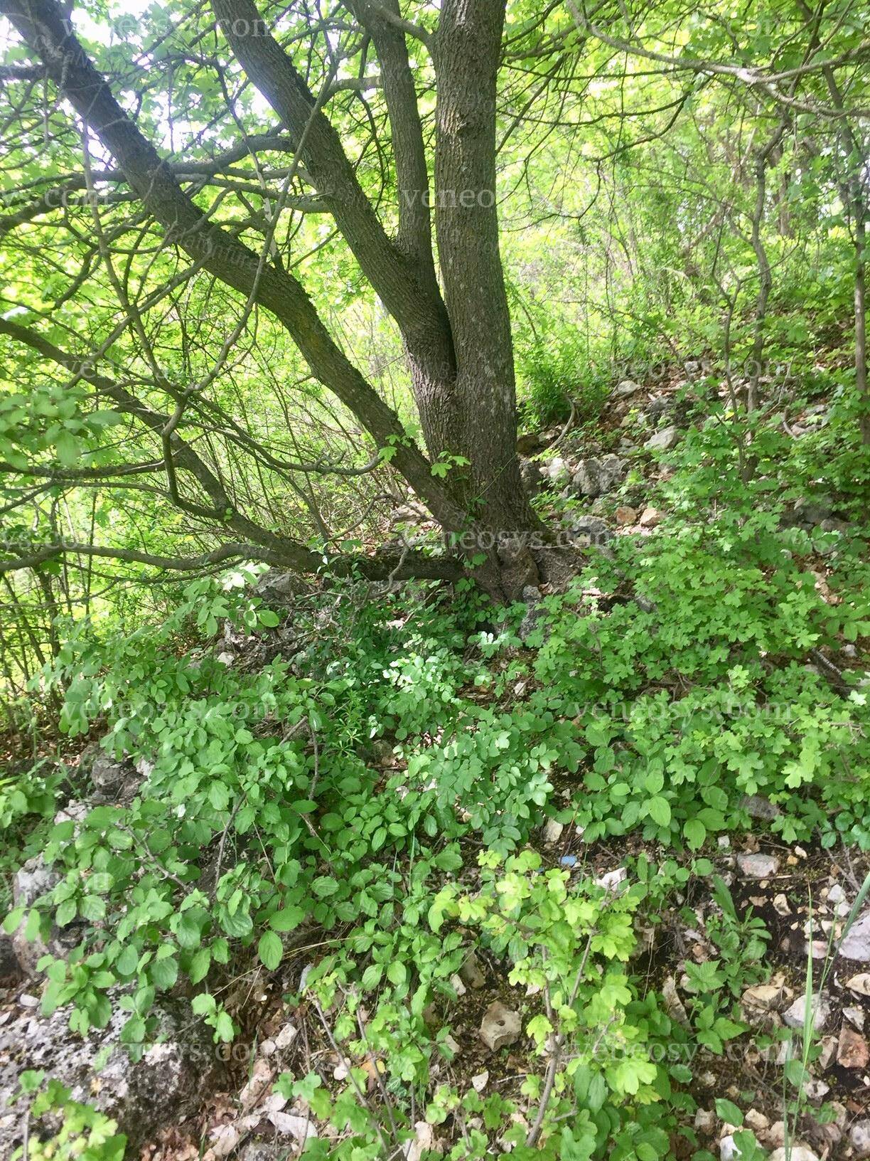 Kép 4