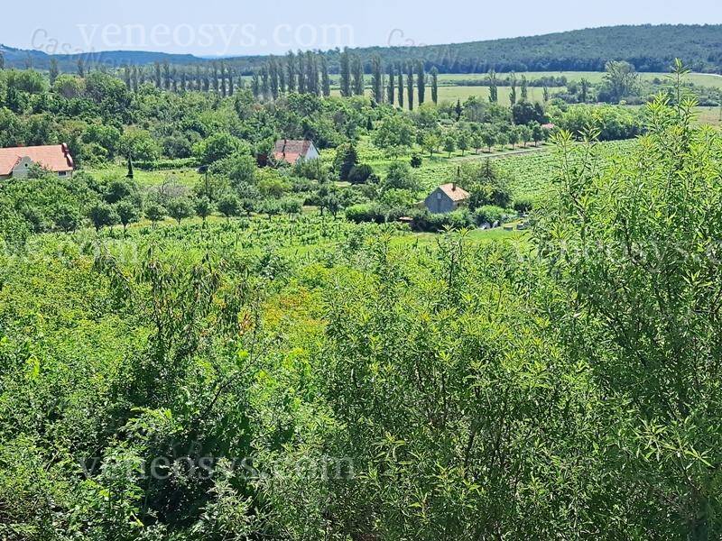 Kép 8