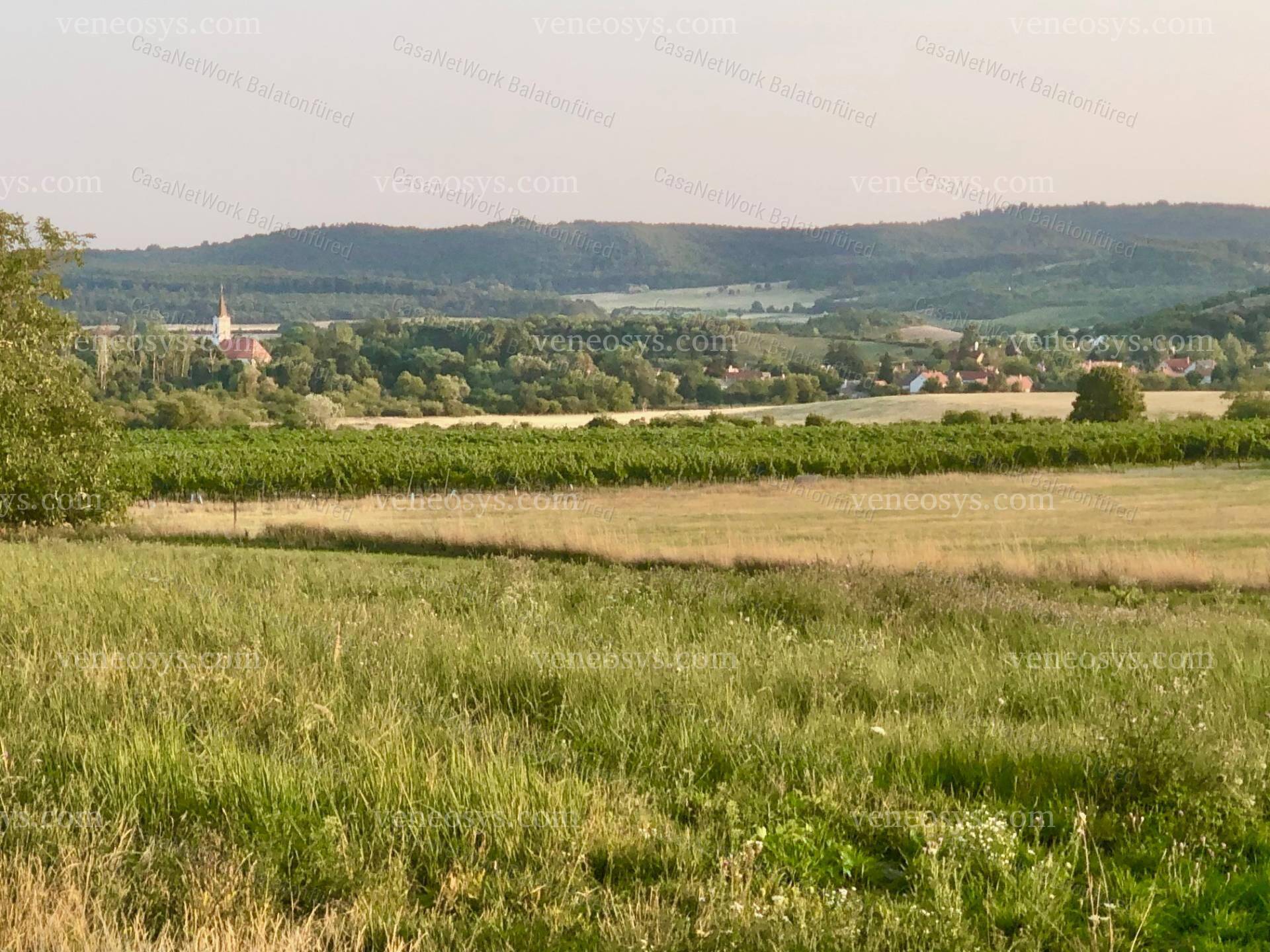 Kép 4