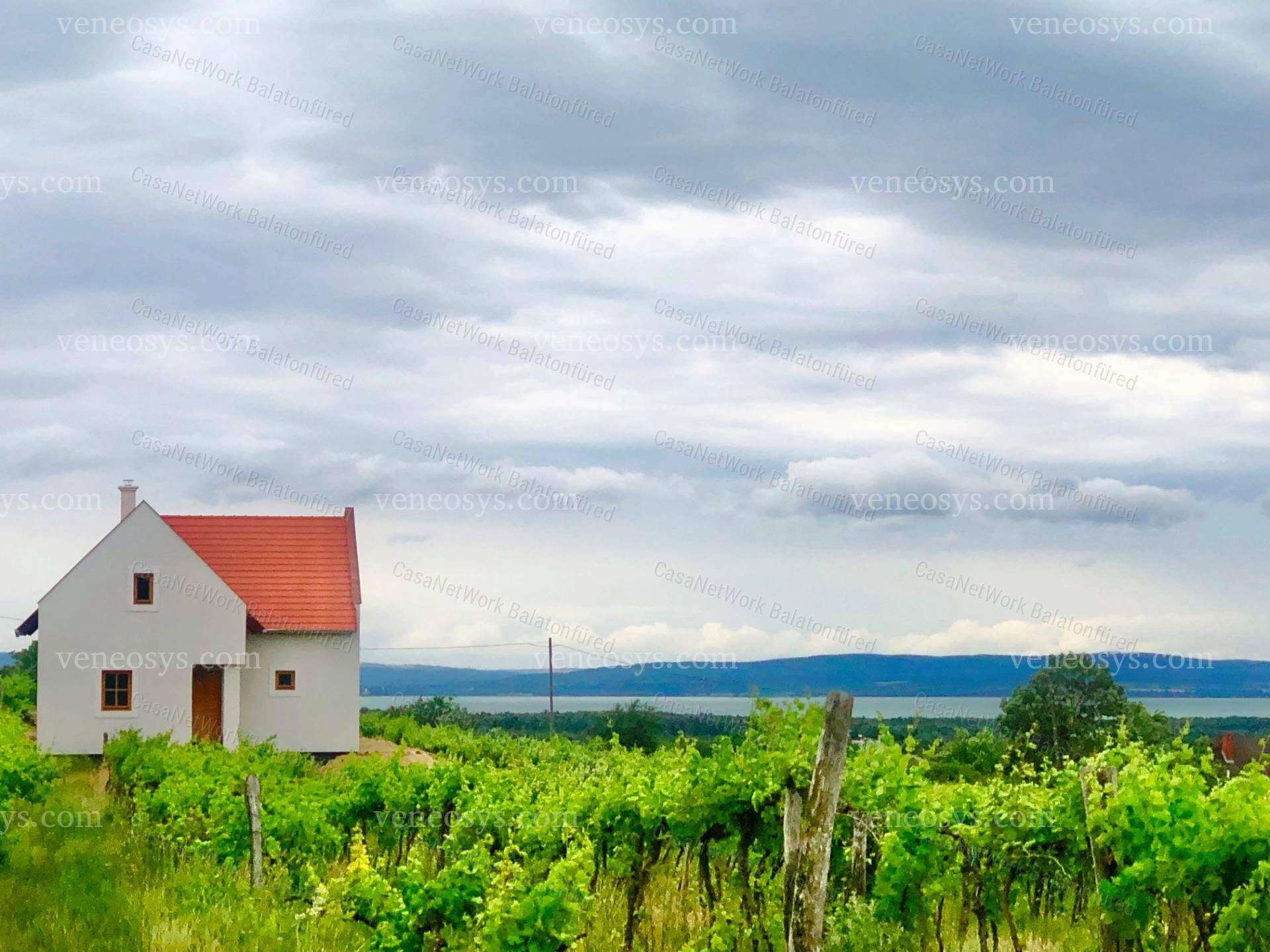 Kép 11