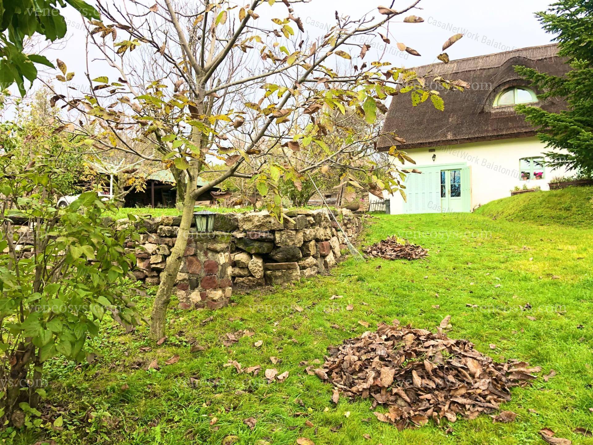 Kép 28