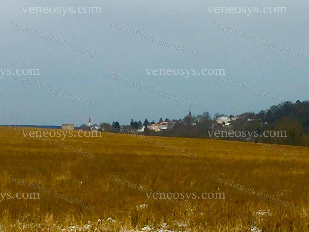 Kép 7