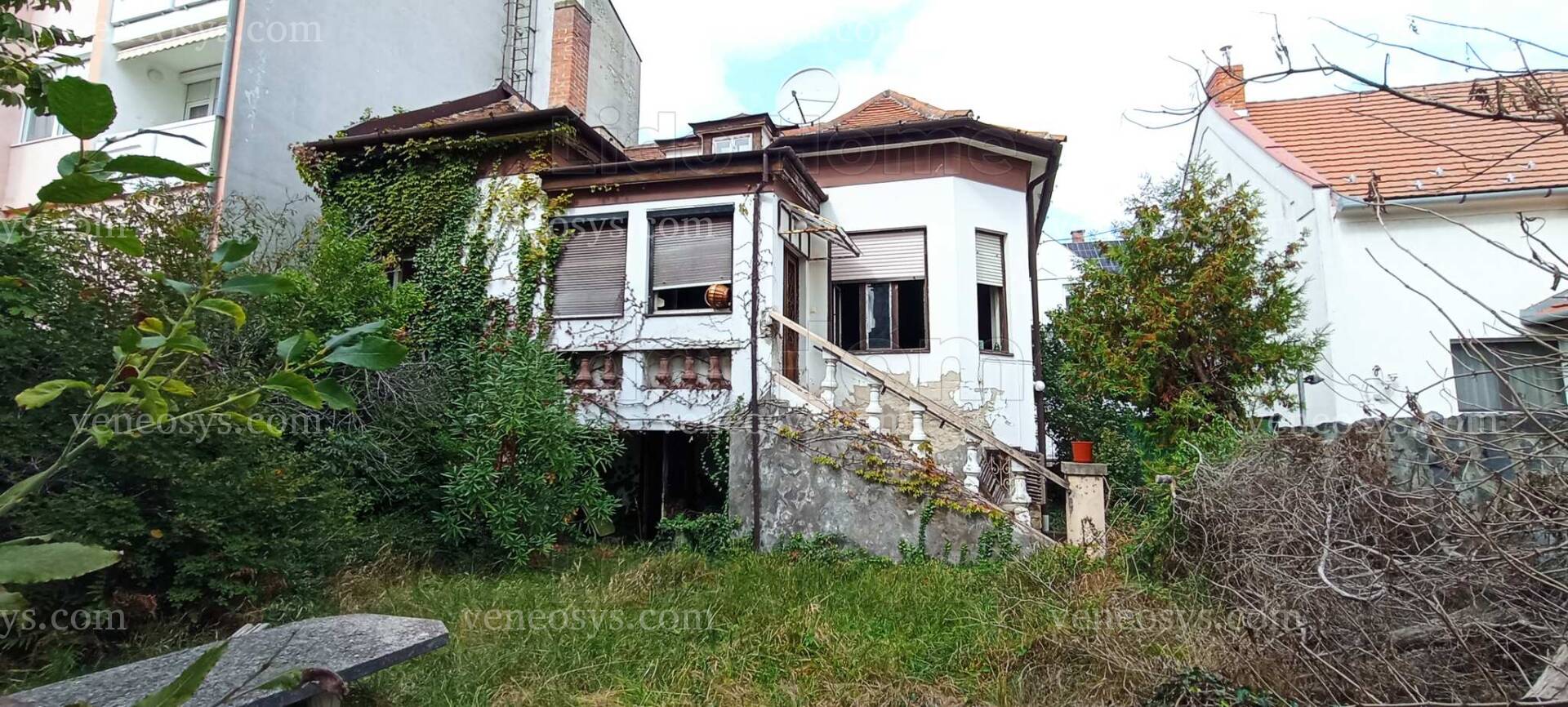 Kép 1
