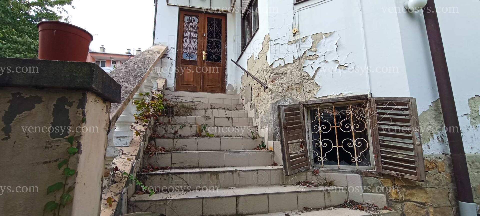Kép 3