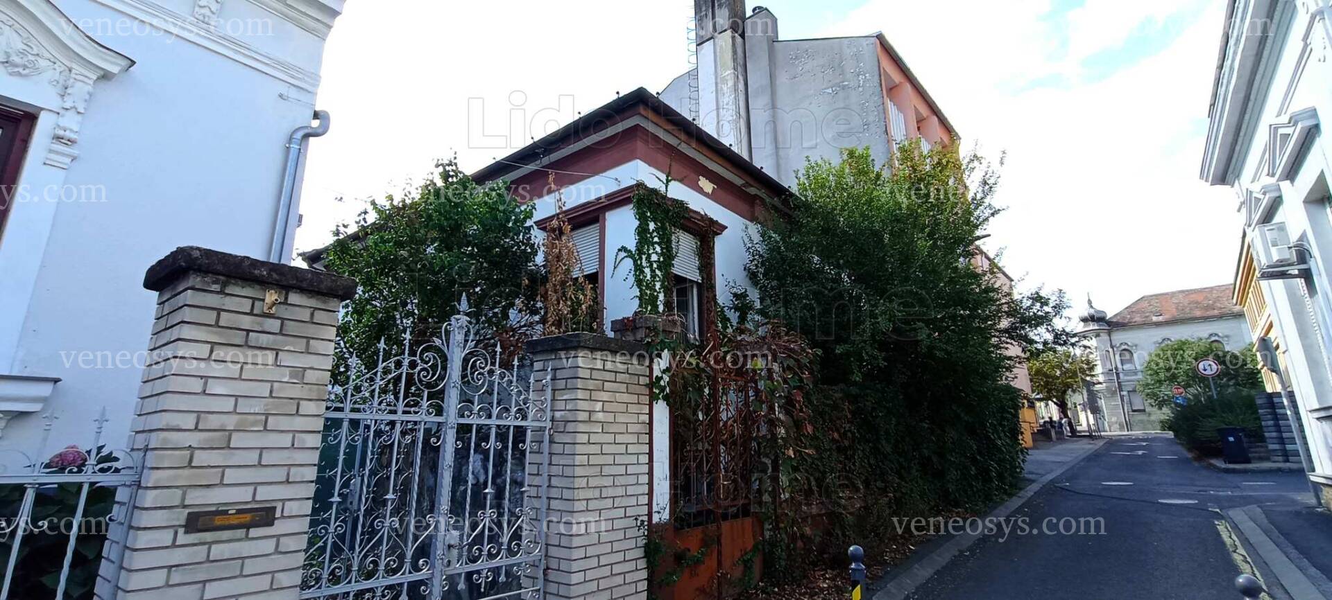 Kép 4
