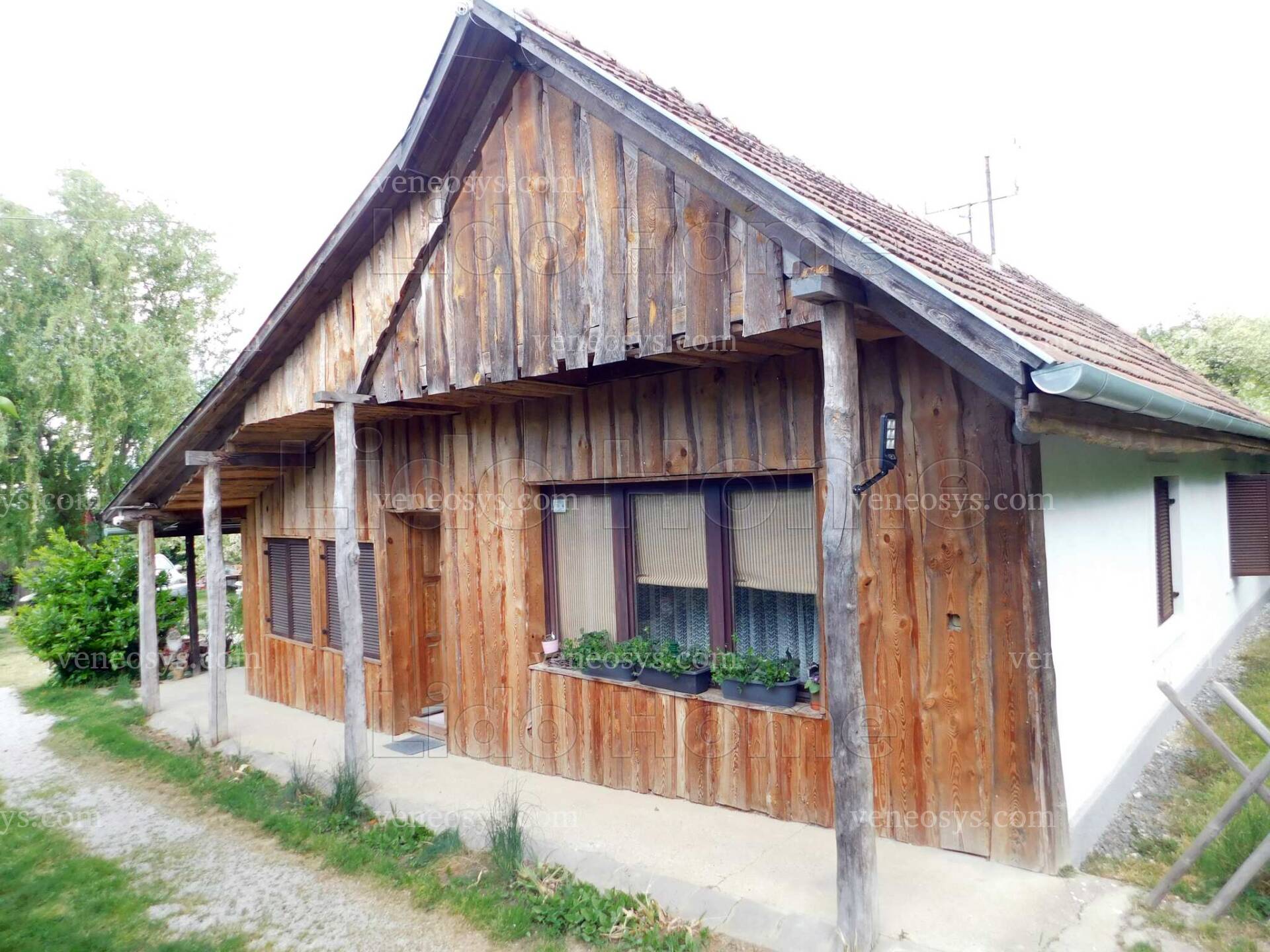 Kép 1
