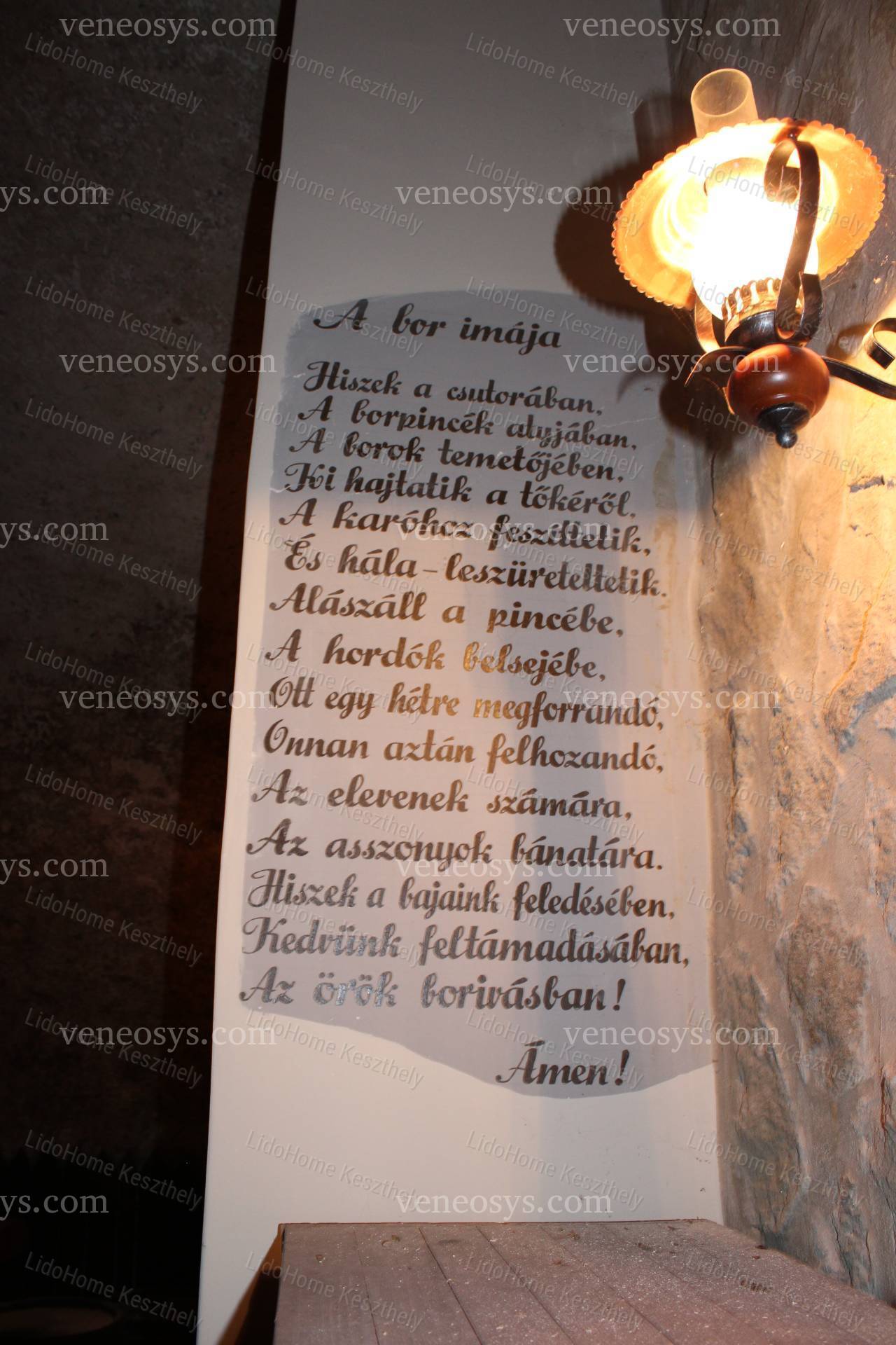 Kép 12