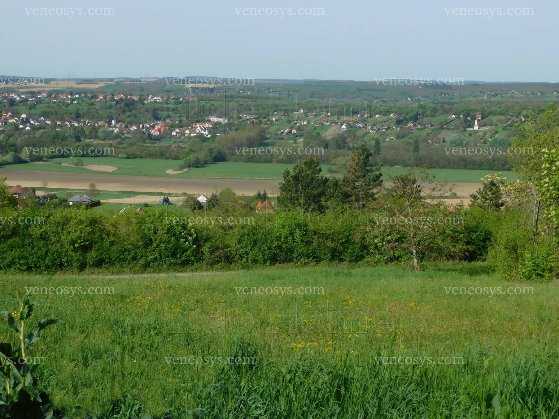 Kép 3