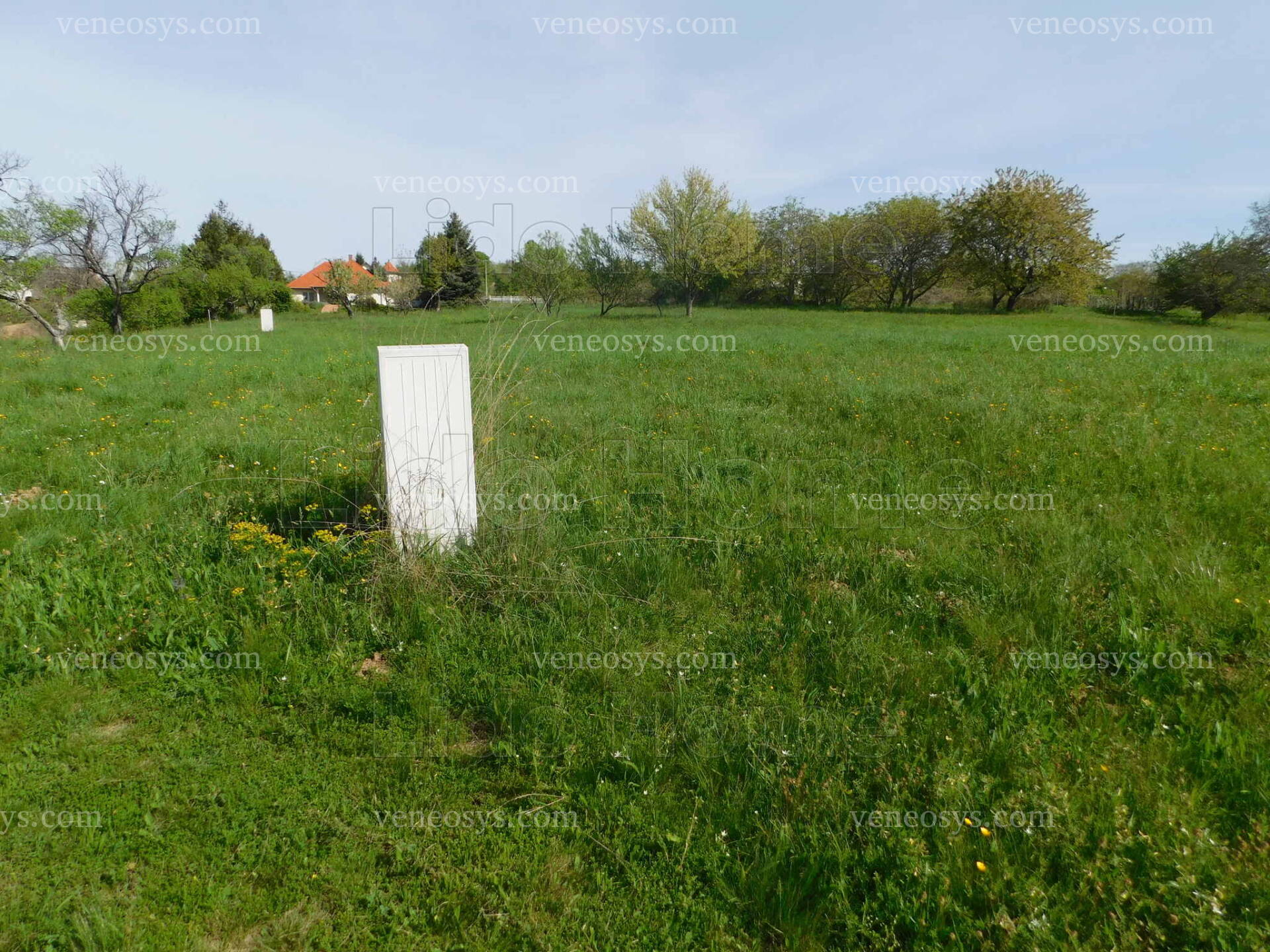 Kép 4