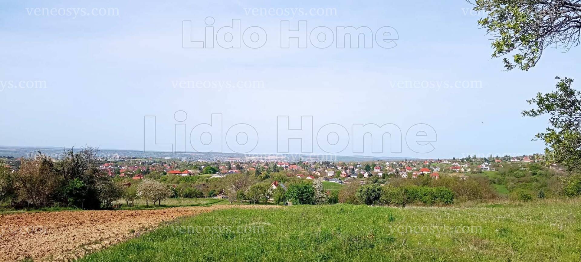 Kép 3