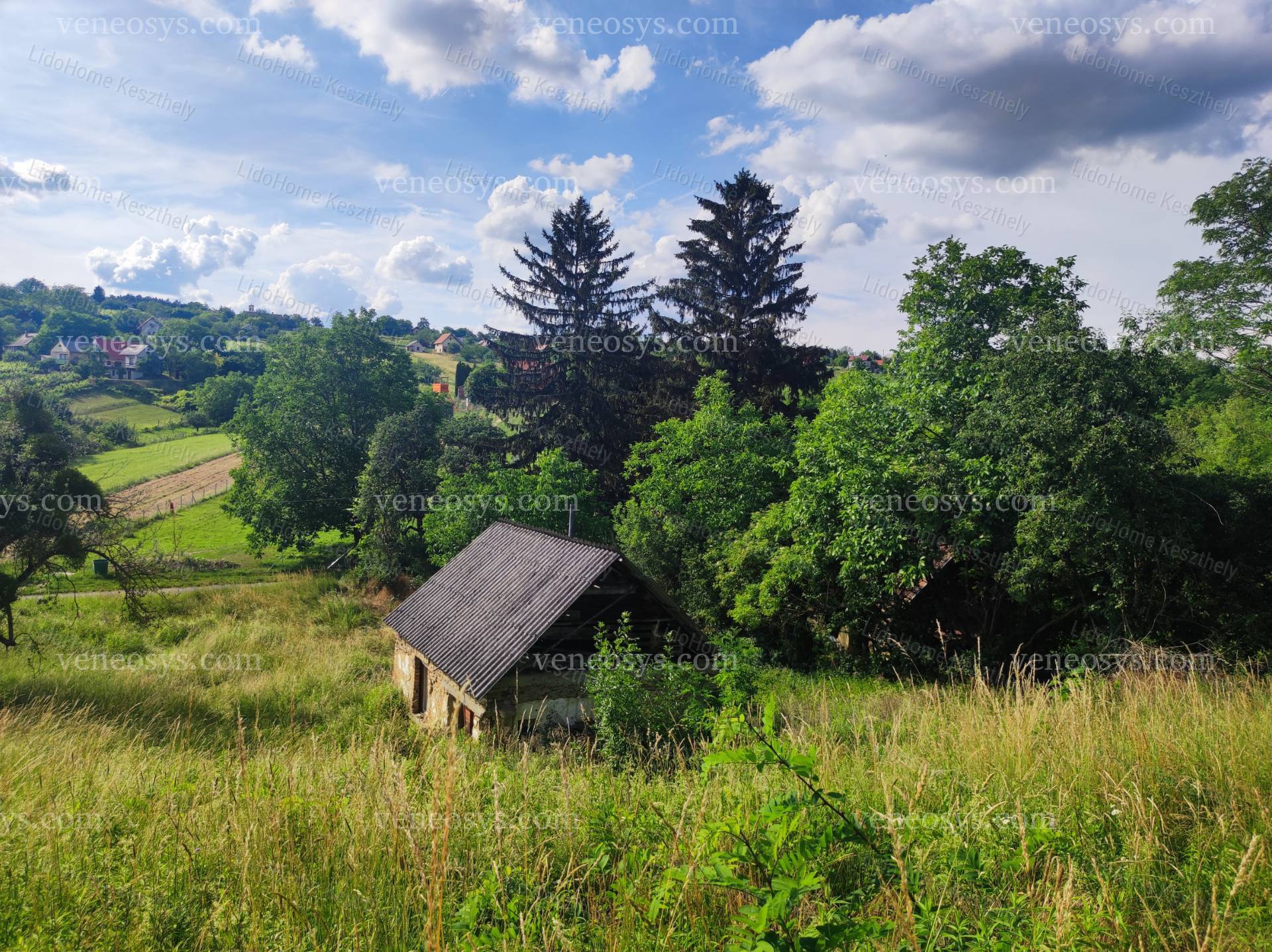 Kép 4