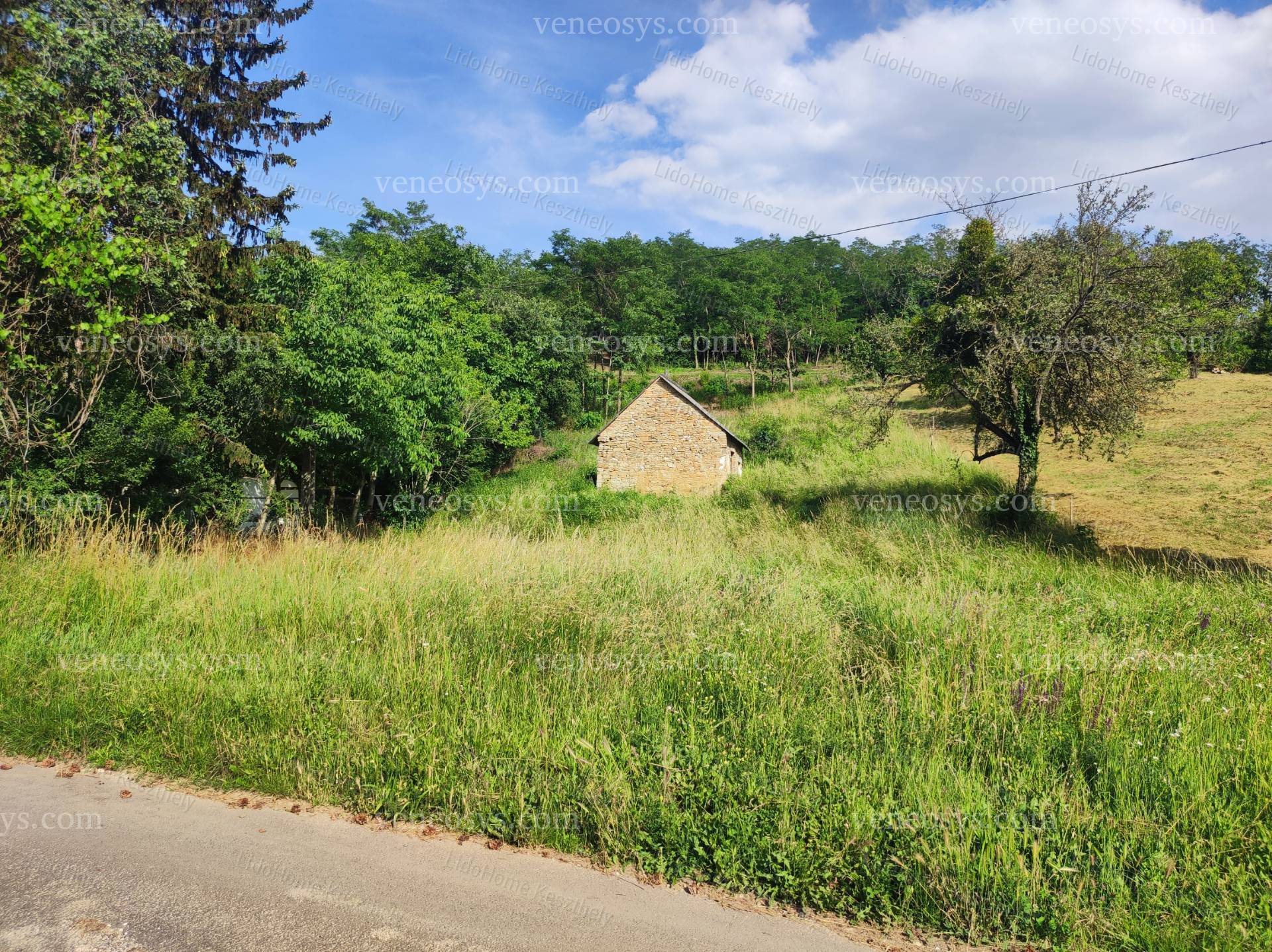 Kép 2
