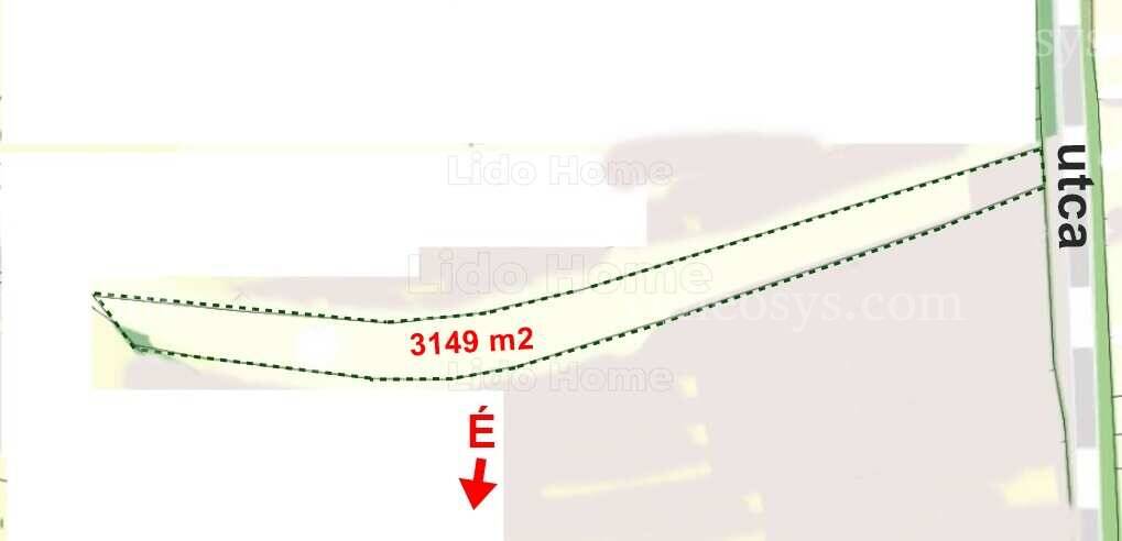 Kép 2