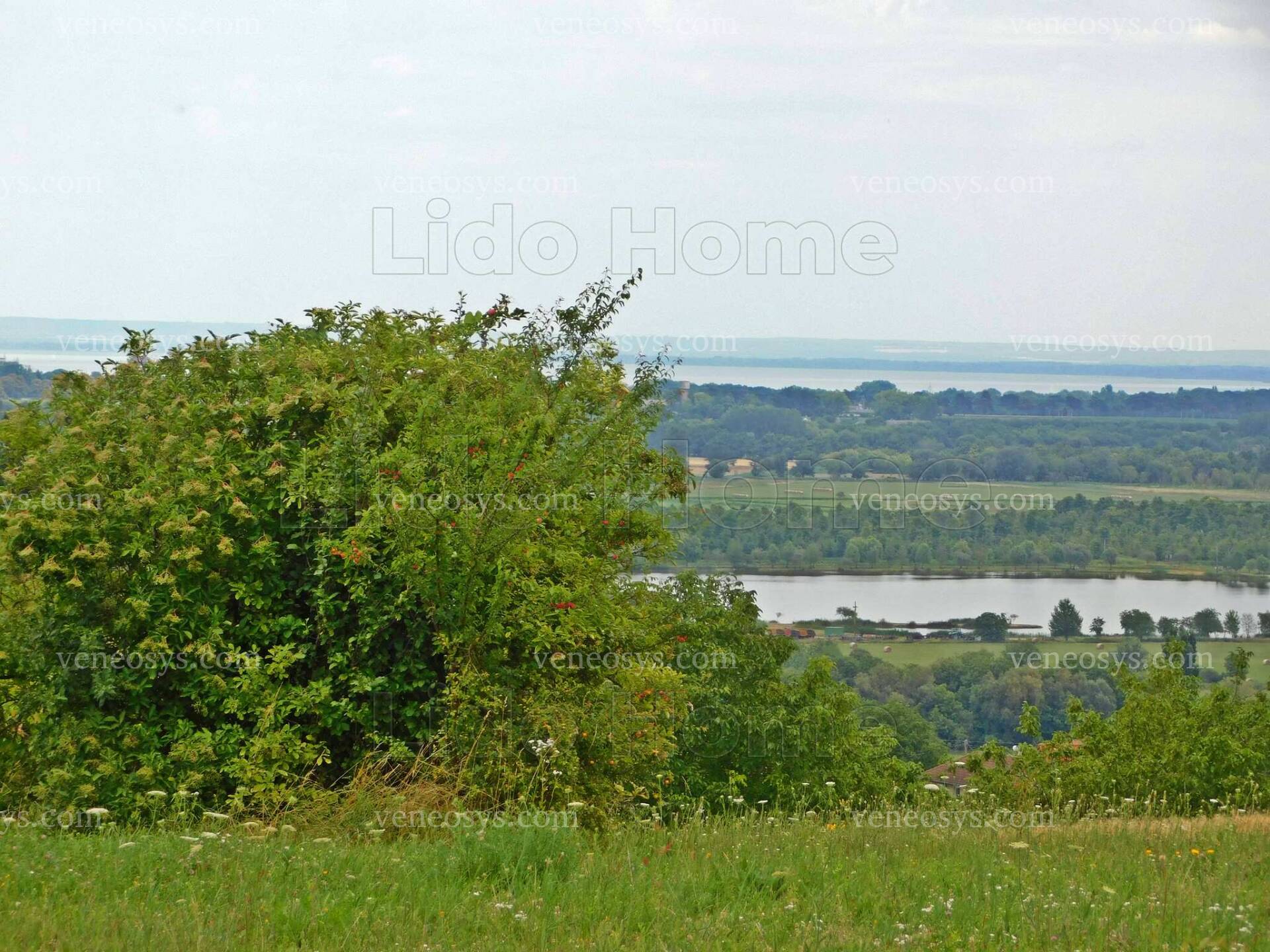 Kép 3