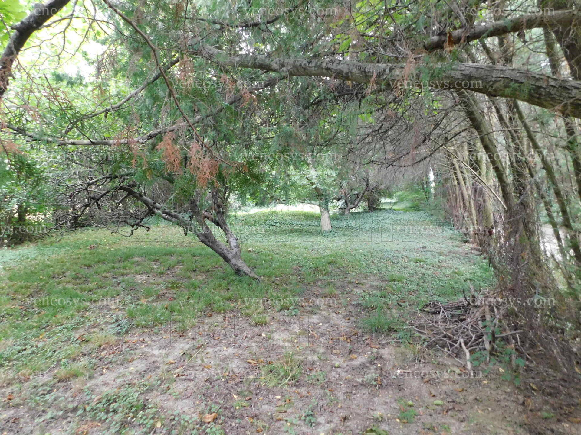 Kép 2