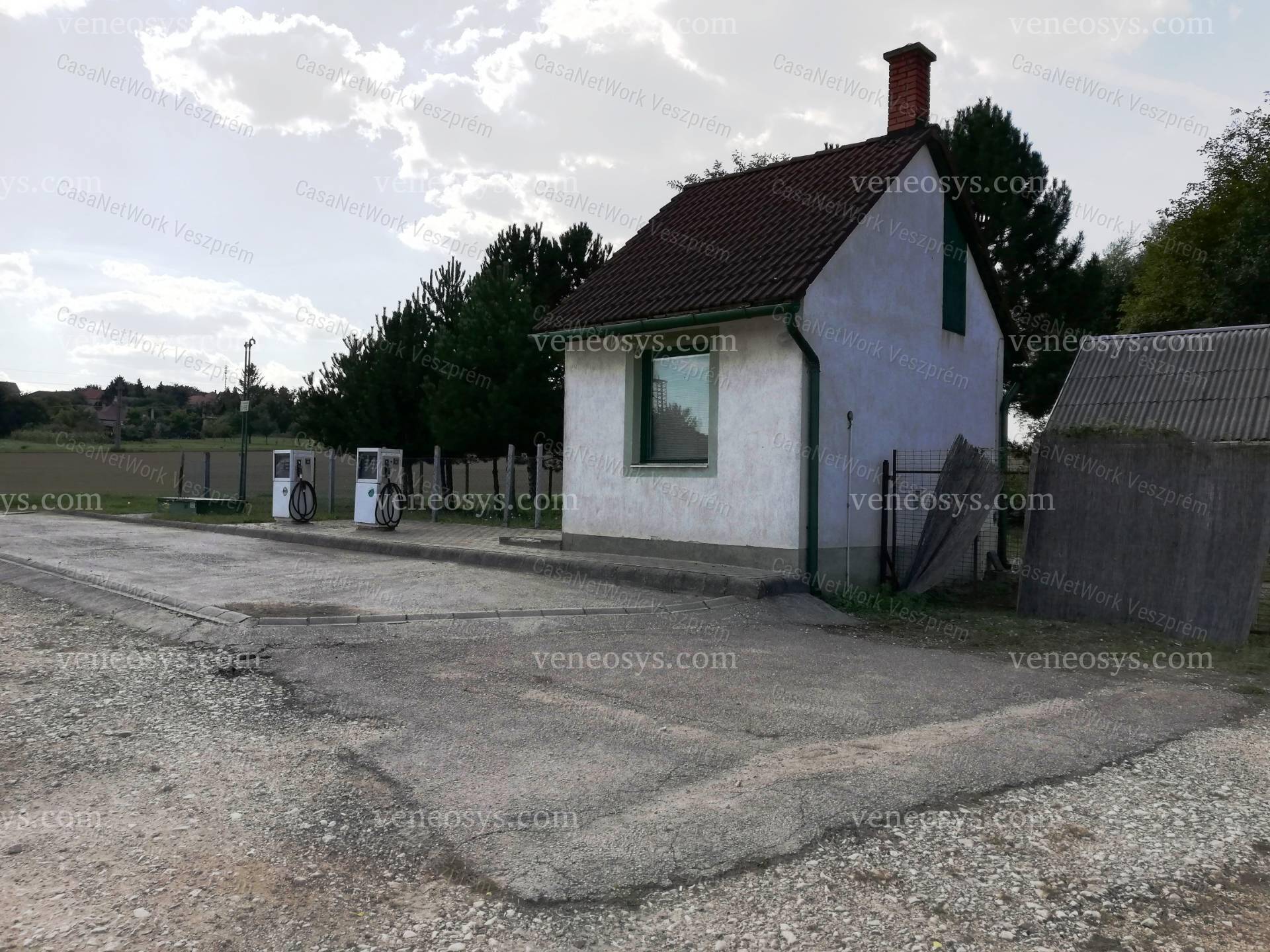 Kép 7