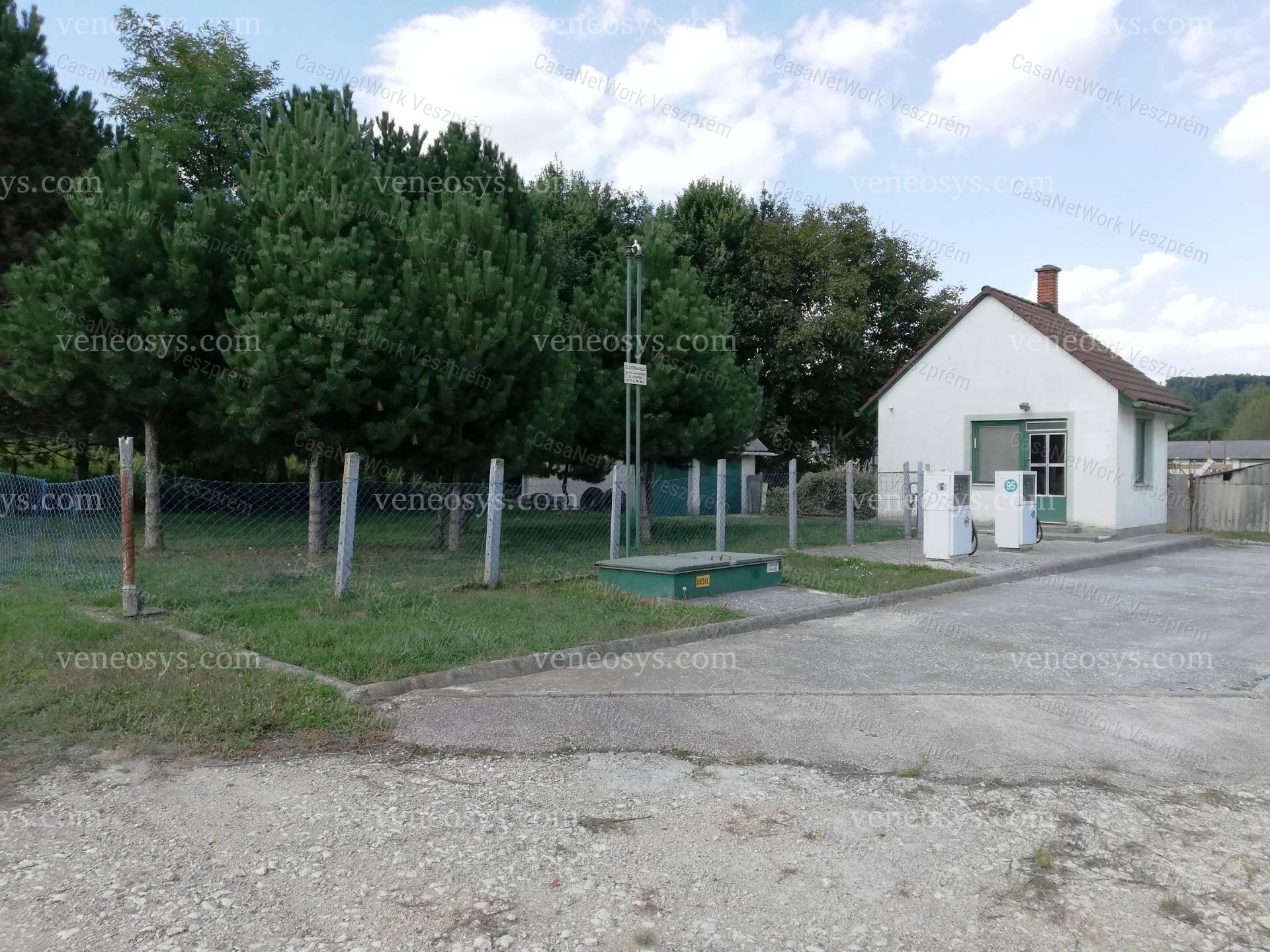 Kép 6