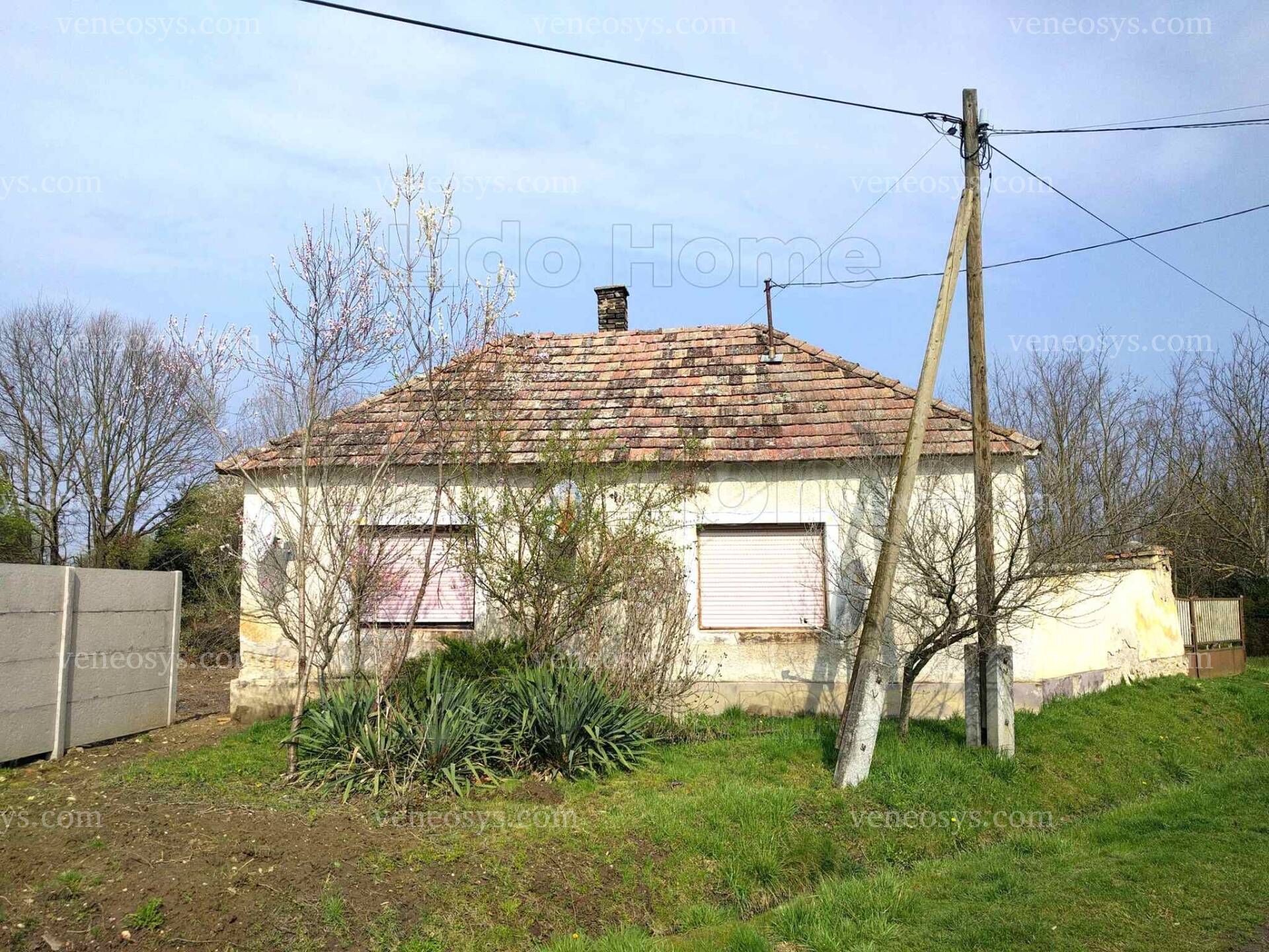 Kép 9