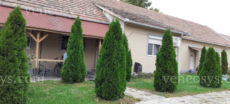 Kép 5