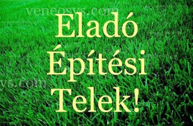 Kép 1