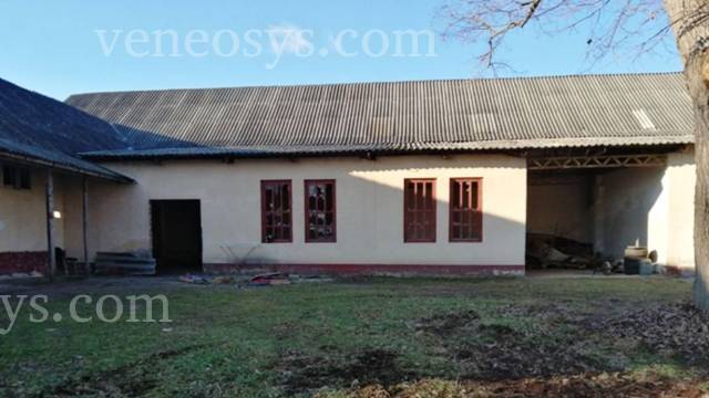 Kép 5