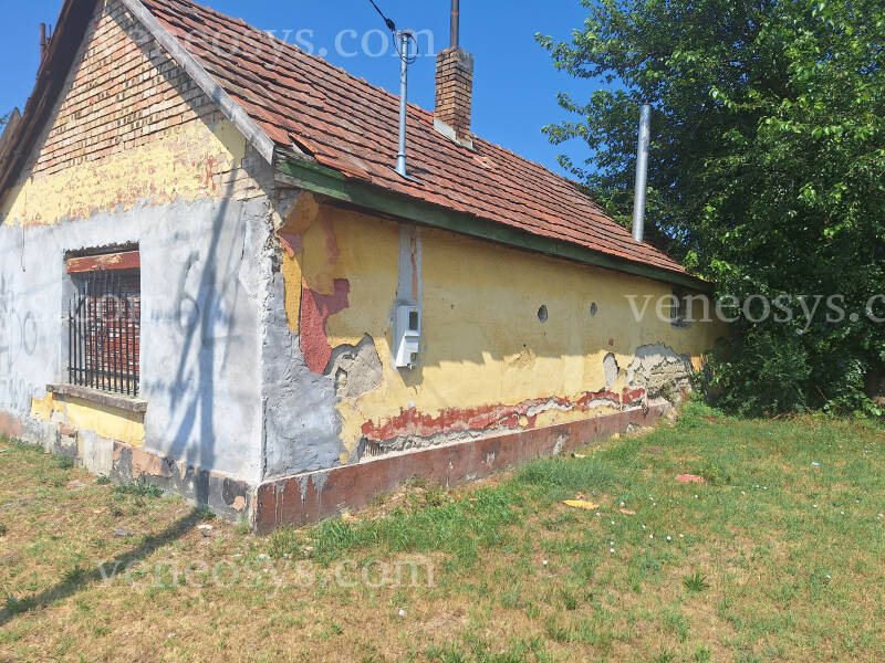 Kép 7