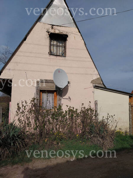 Kép 1