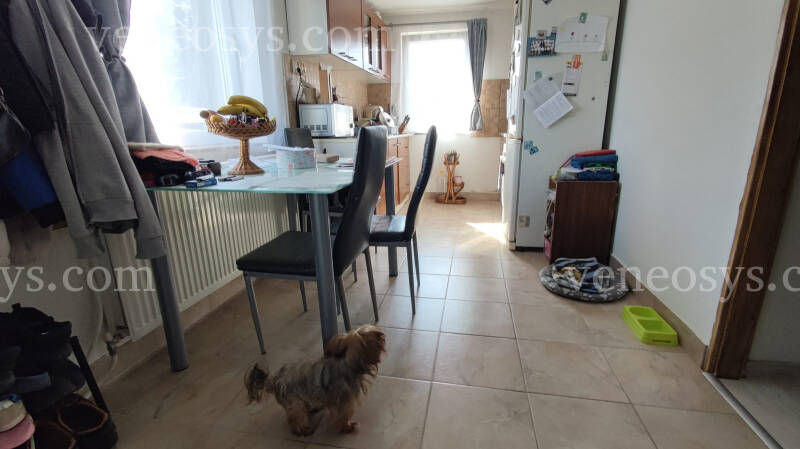 Kép 3