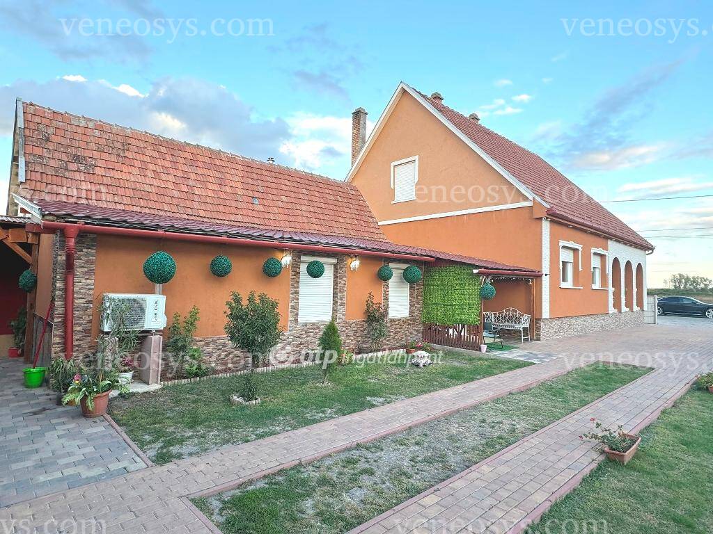 Kép 5