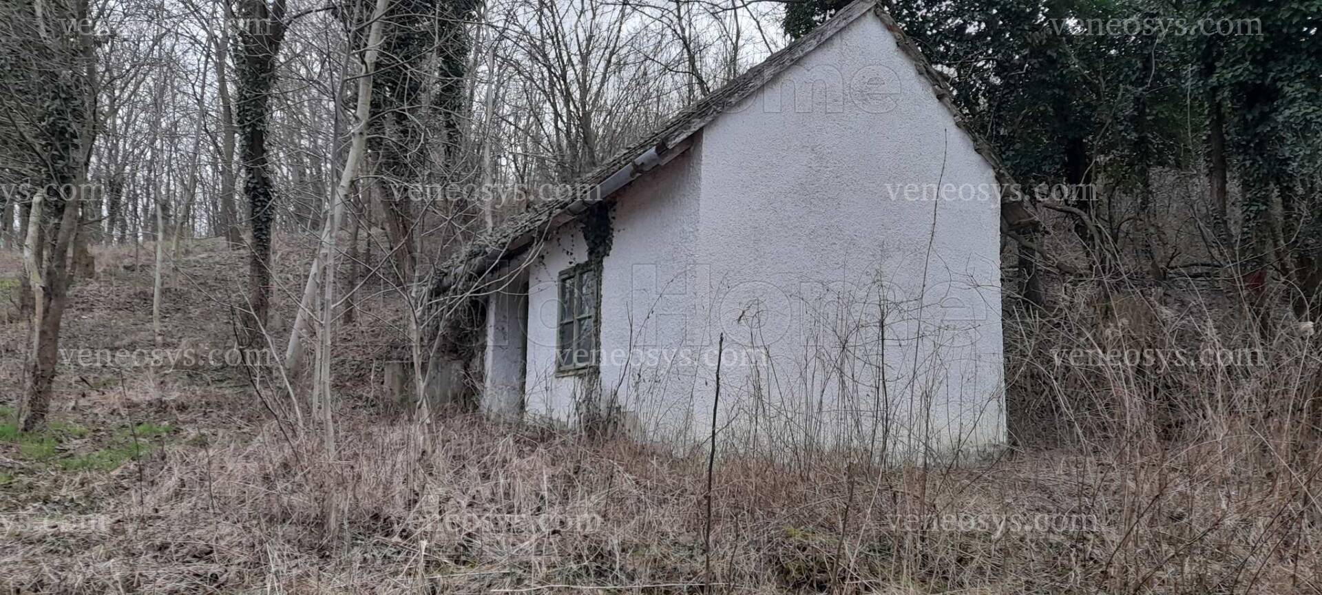 Kép 5