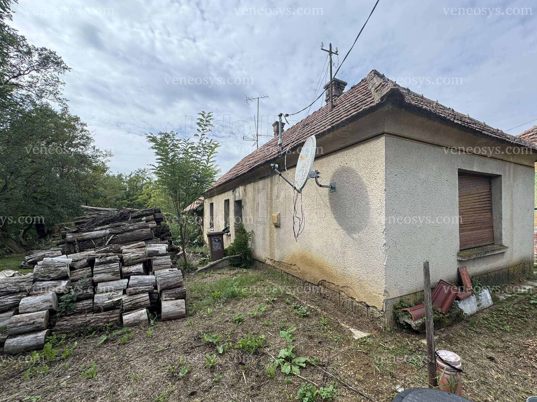 Kép 5