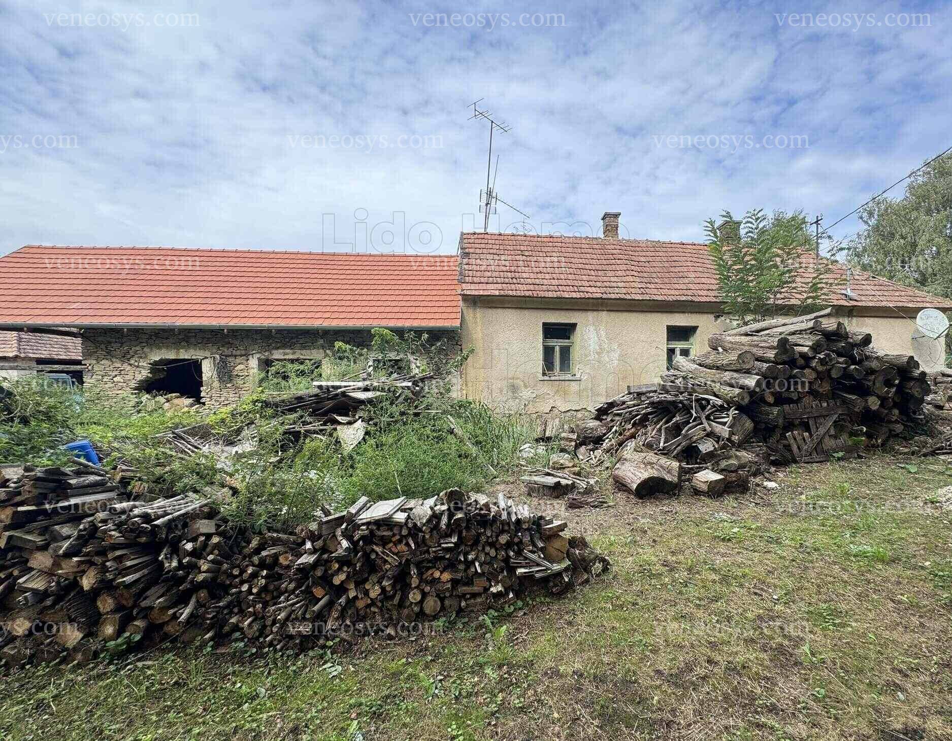 Kép 1