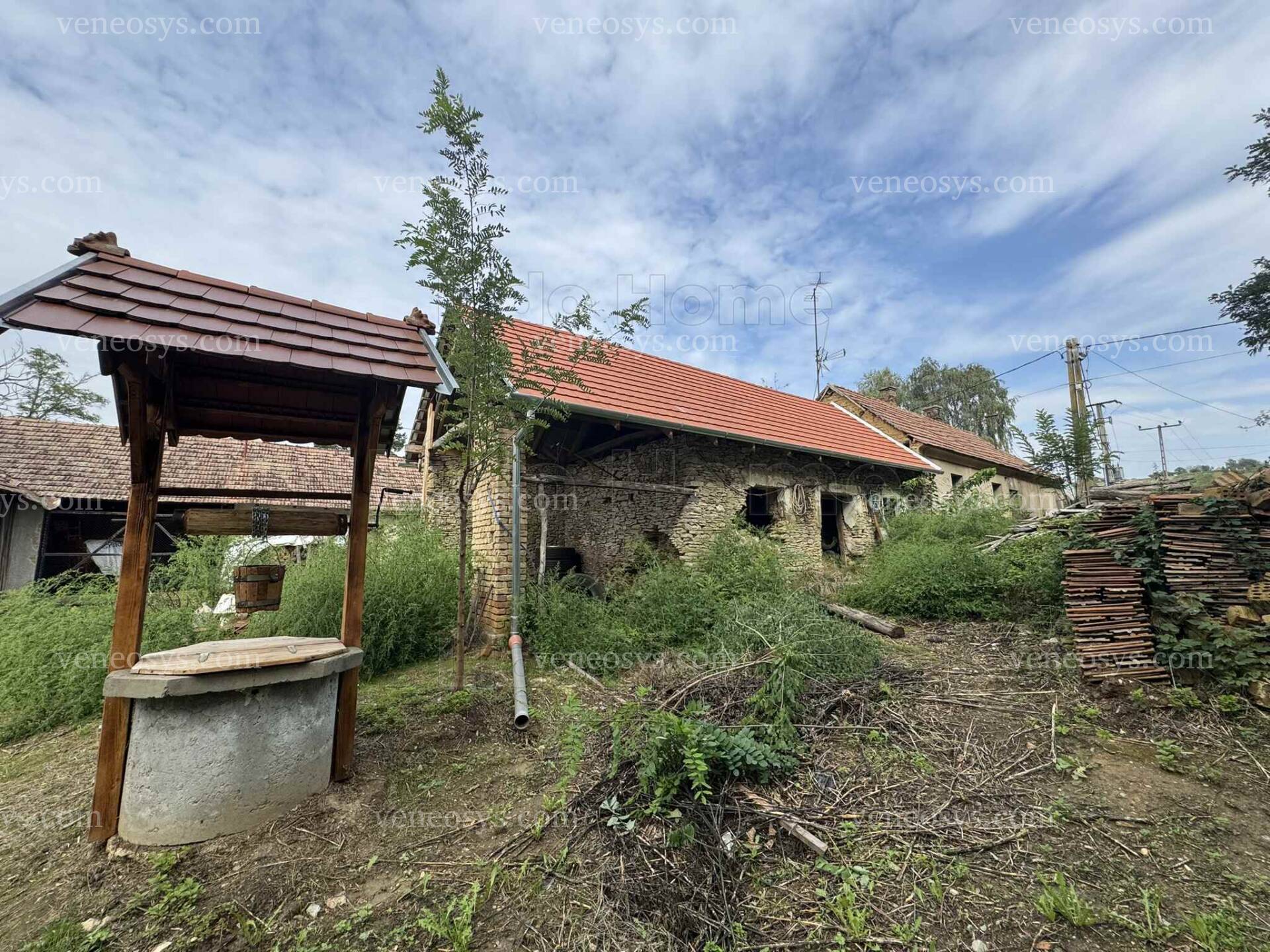 Kép 4