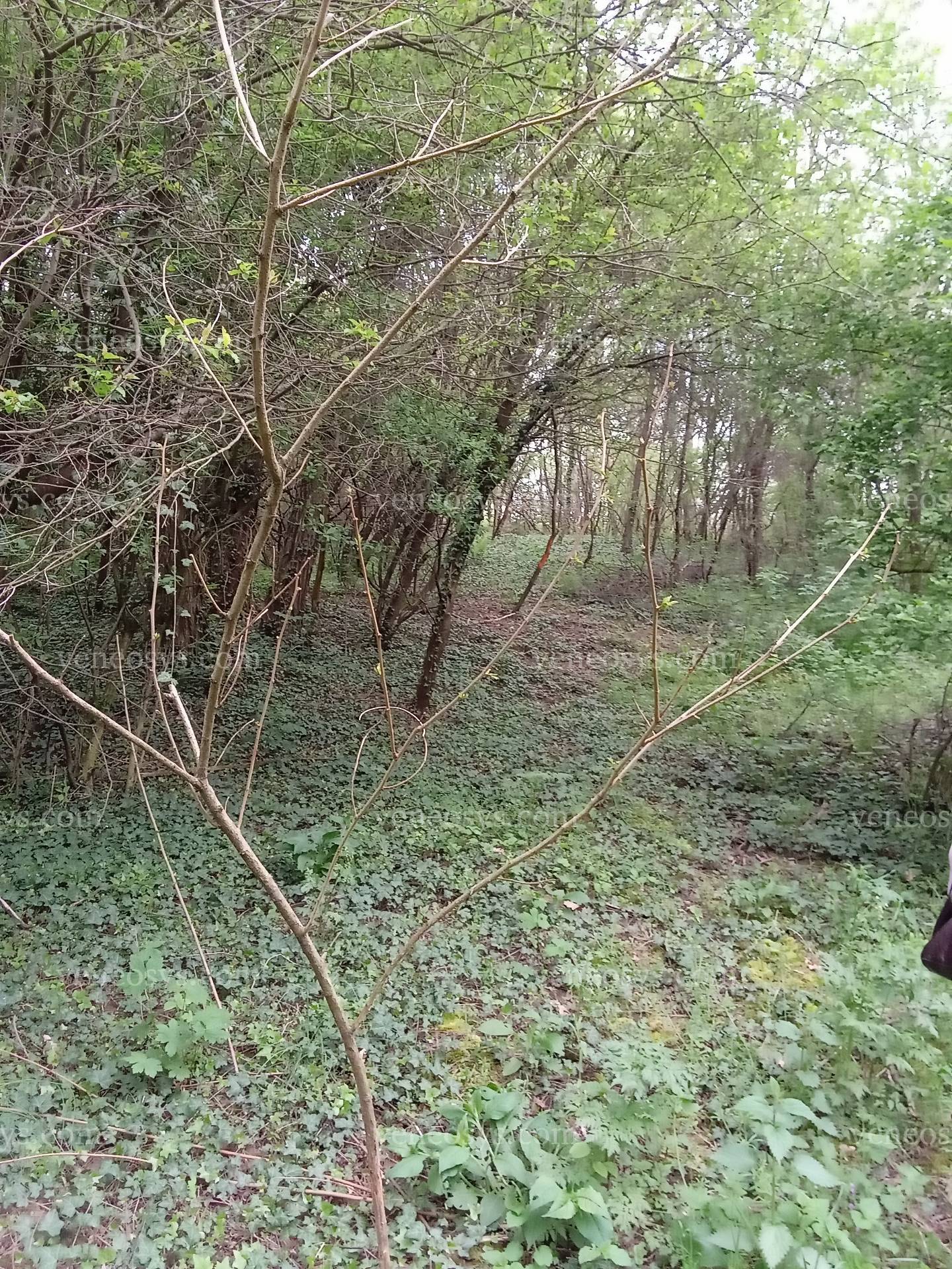Kép 2